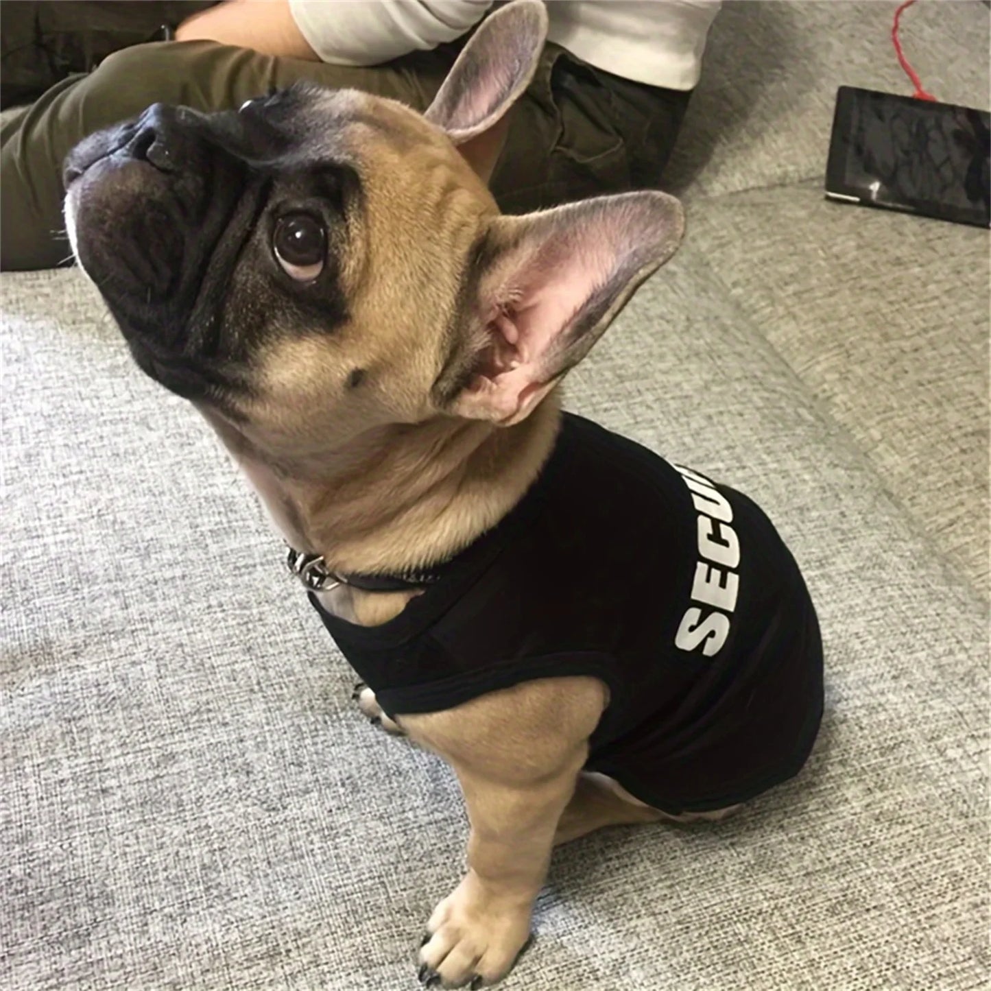 Security Clothing For Dogs Vest Shirt All Seasons Pet Wear