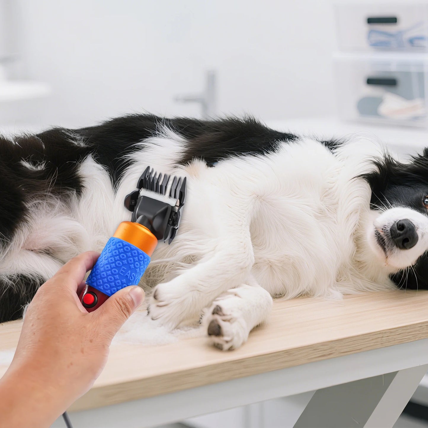 36W Electric Animal Clipper For Sheep Goats Dogs Rabbits