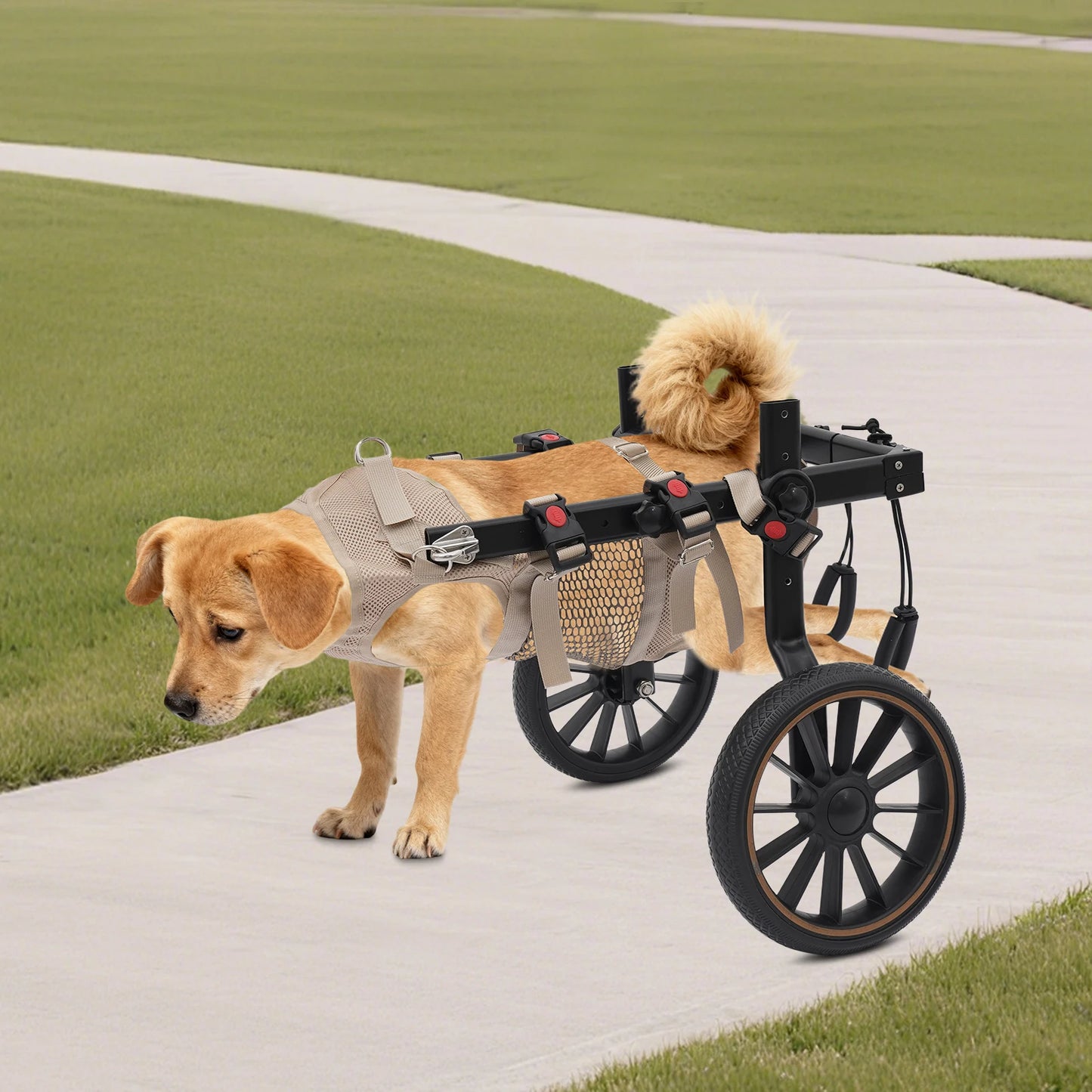 Bymaocar 2-Wheel Pet Walking Aid Wheelchair for Back Legs