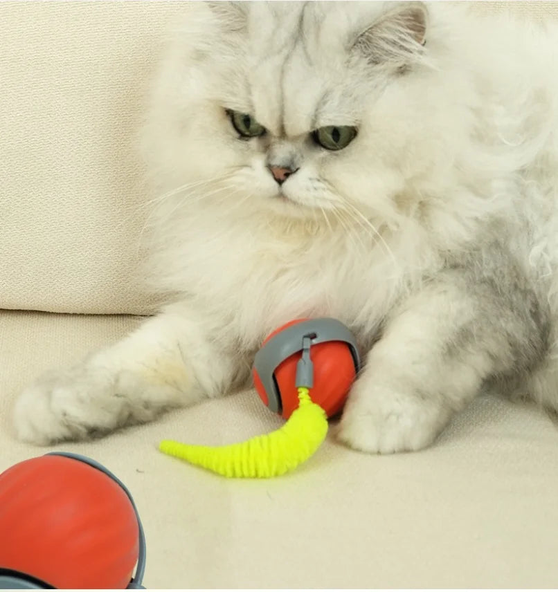 Cat Scratcher 2-In-1 Interactive Puzzle Toy Set For Indoor Cats
