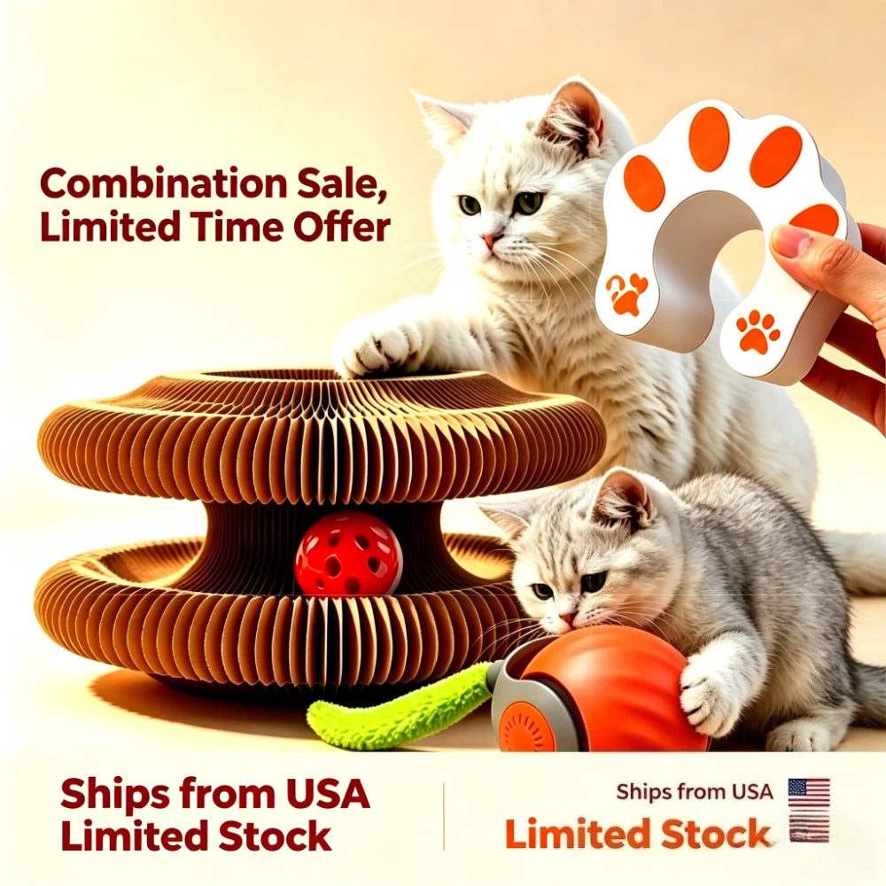 Cat Scratcher 2-In-1 Interactive Puzzle Toy Set For Indoor Cats
