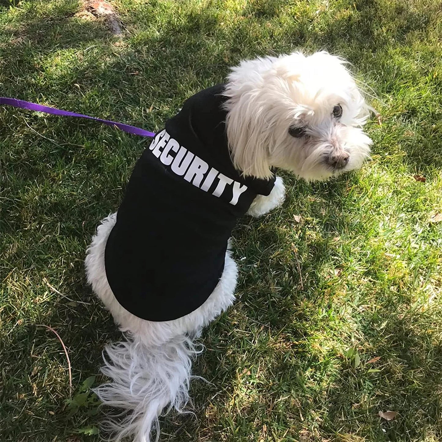 Security Clothing For Dogs Vest Shirt All Seasons Pet Wear