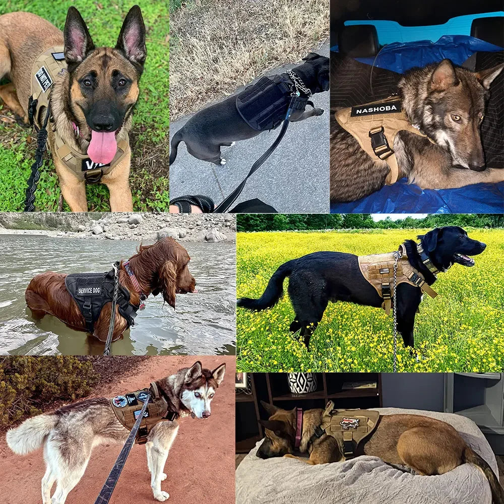 NONE CN Large Dog Harness And Leash Set For Training