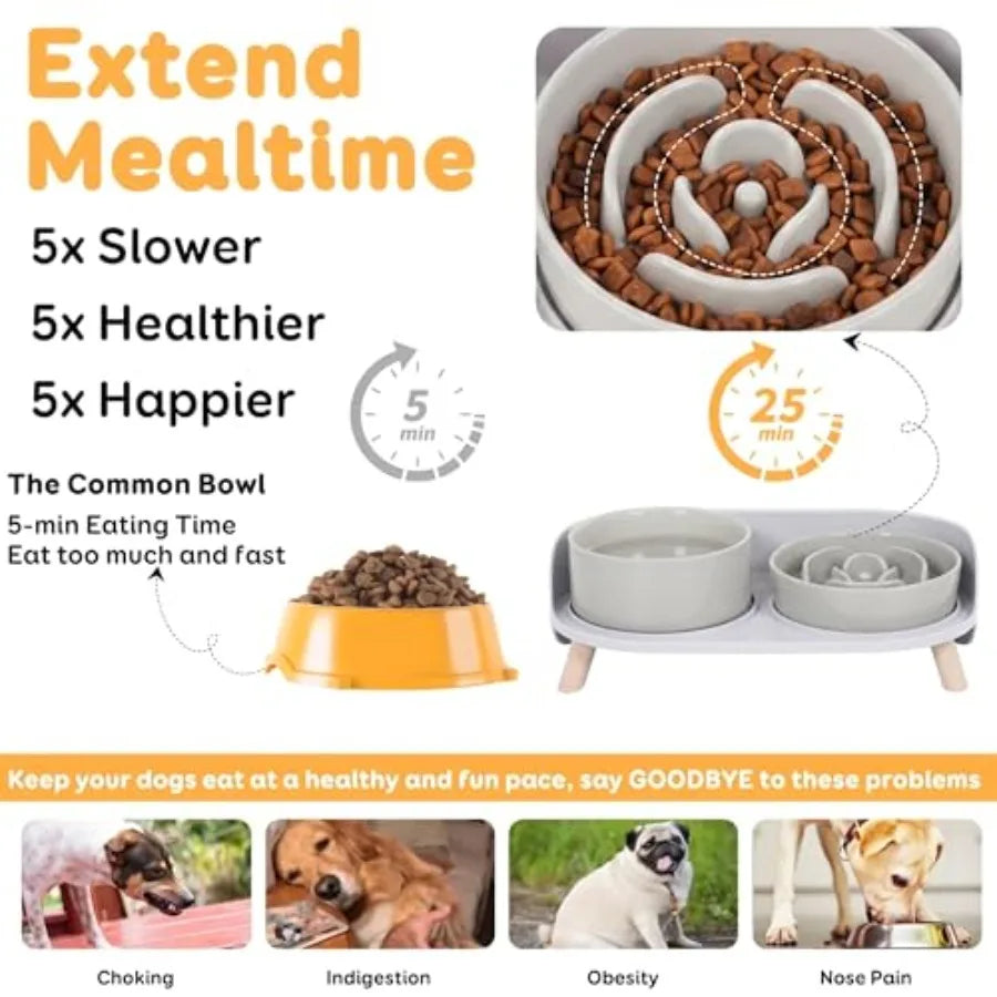 Elevated Slow Feeder Dog Bowls With Ceramic Stand Set