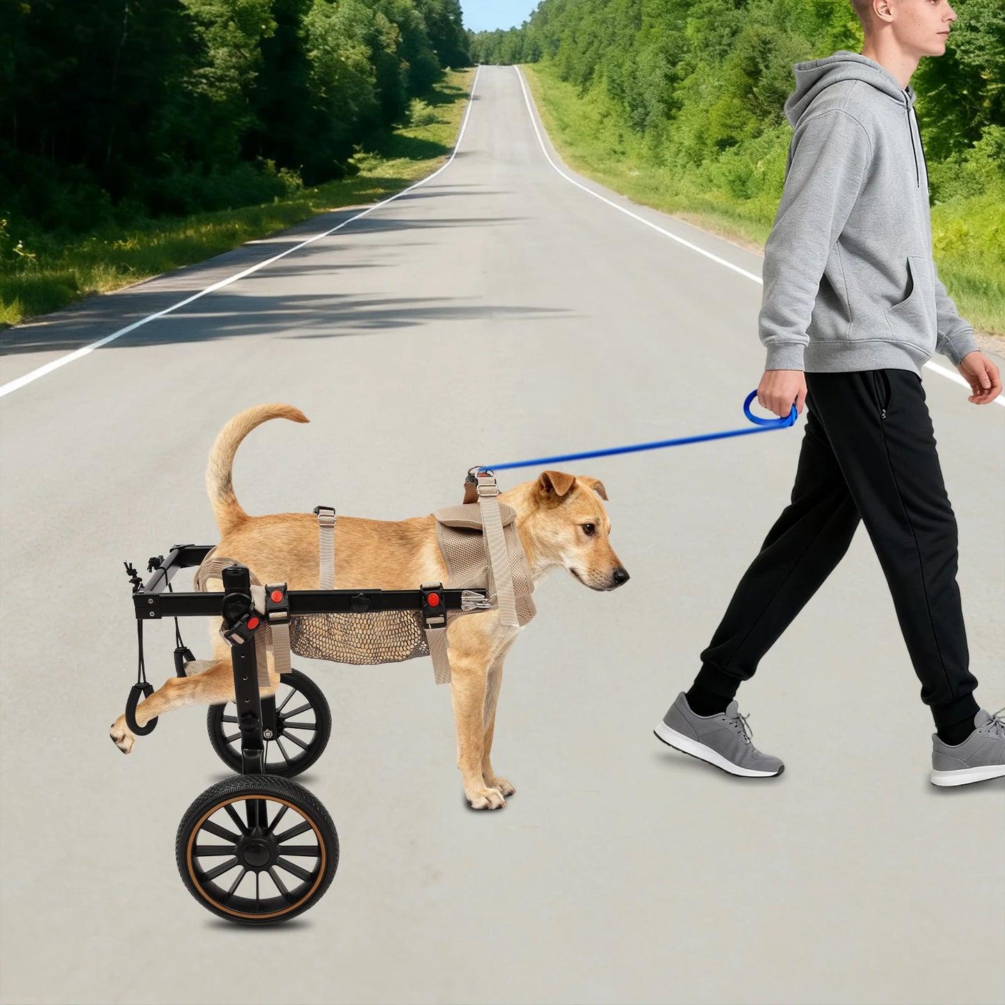Bymaocar 2-Wheel Pet Walking Aid Wheelchair for Back Legs