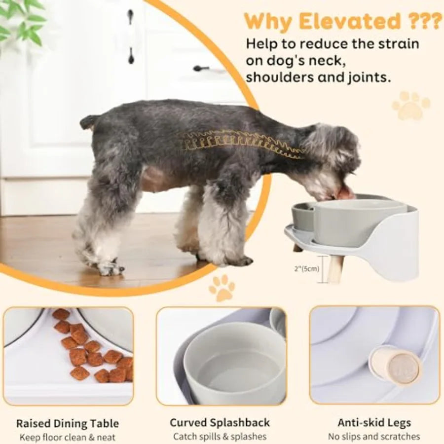 Elevated Slow Feeder Dog Bowls With Ceramic Stand Set