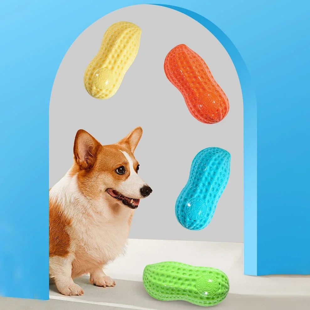 Pet Peanut Squeak Chew Toy For Dogs Interactive Rubber Toy