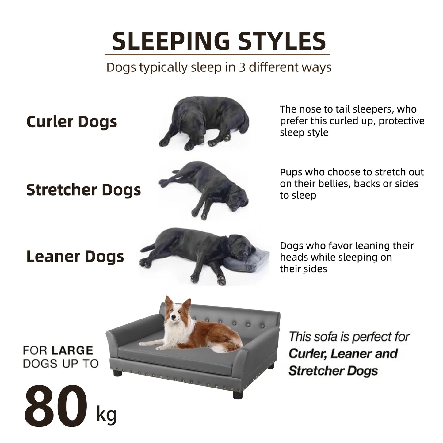 BINGOPAW Elevated Dog Bed Sofa Mat With Leather Cover Removable Cushion