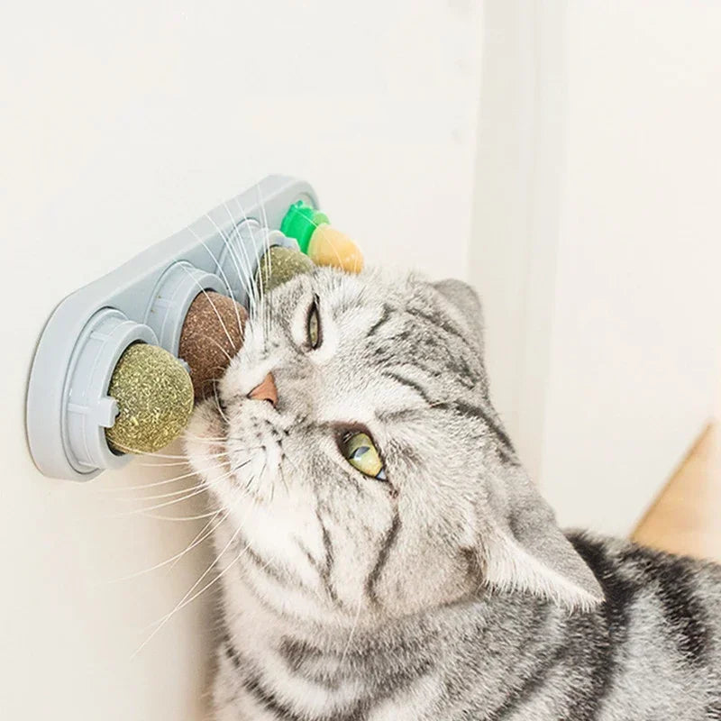 Rotating Catnip Silver Vine Ball Toy Wall Stick On