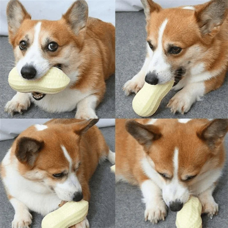 Pet Peanut Squeak Chew Toy For Dogs Interactive Rubber Toy