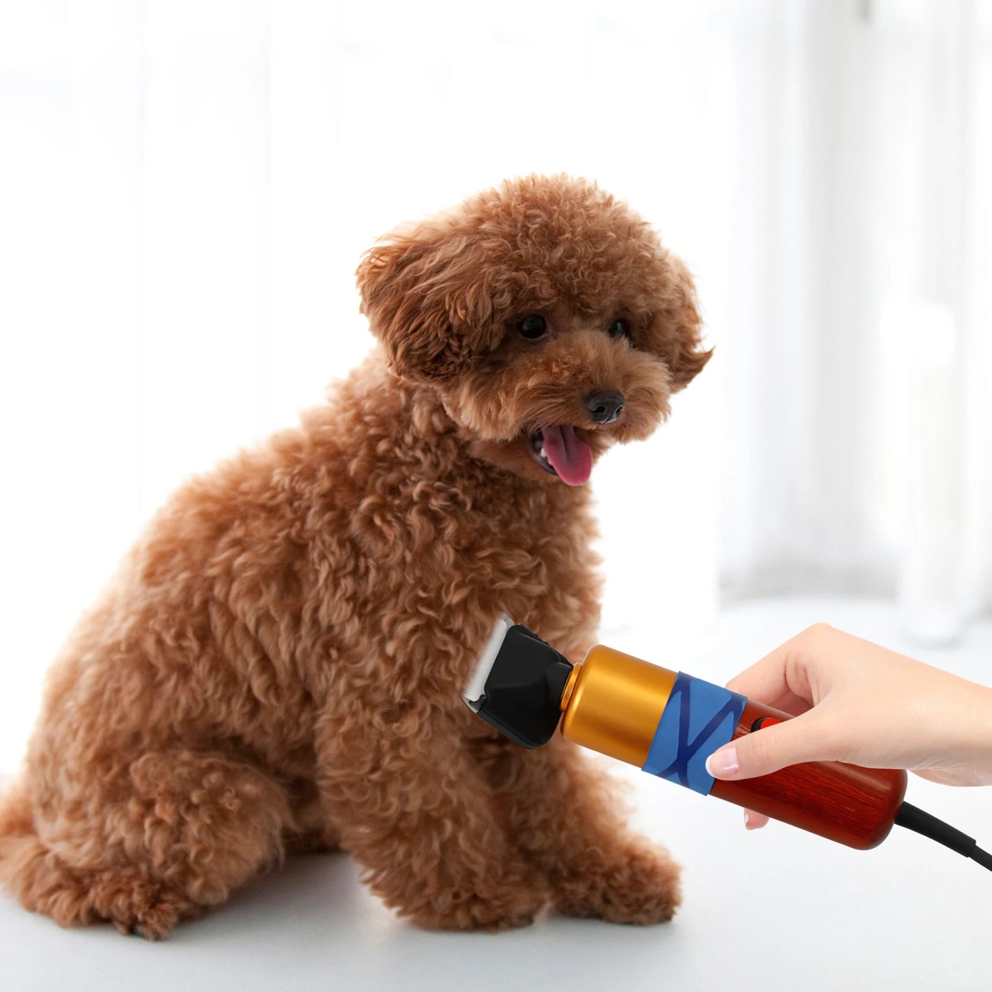 Low Noise Electric Pet Hair Clipper With Variable Speed