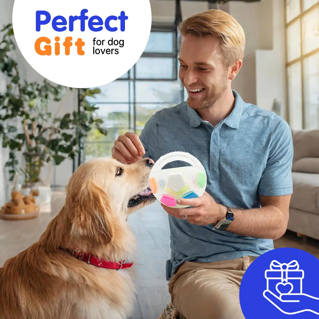Football Tennis Ball Dog Toy With Squeak Rubber Teether
