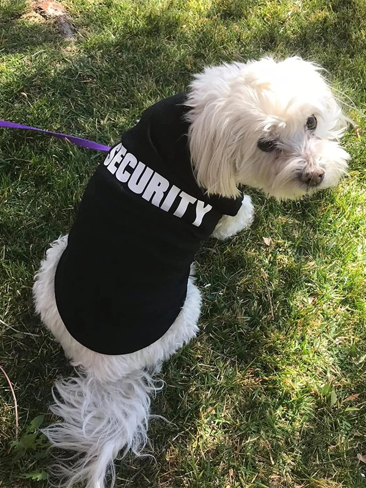 Security Clothing For Dogs Vest Shirt All Seasons Pet Wear