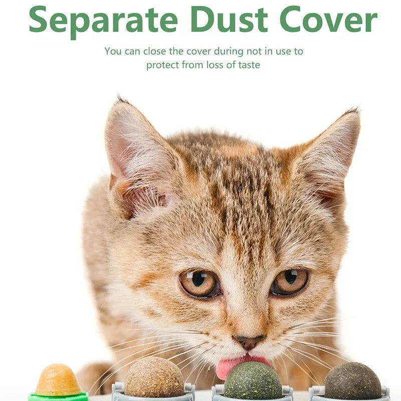 Rotating Catnip Silver Vine Ball Toy Wall Stick On