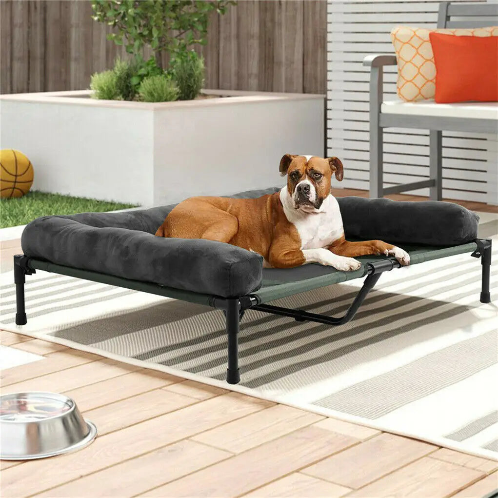 BINGOPAW Elevated Pet Lounger Bed With Detachable Bolster Cooling