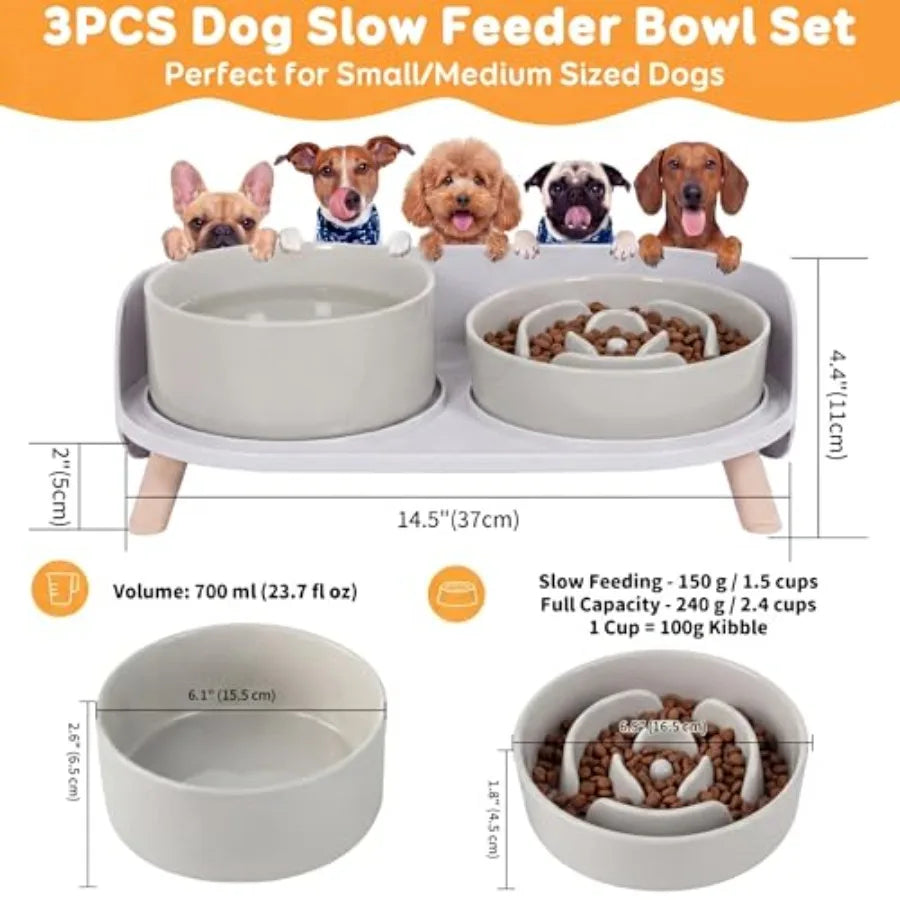 Elevated Slow Feeder Dog Bowls With Ceramic Stand Set