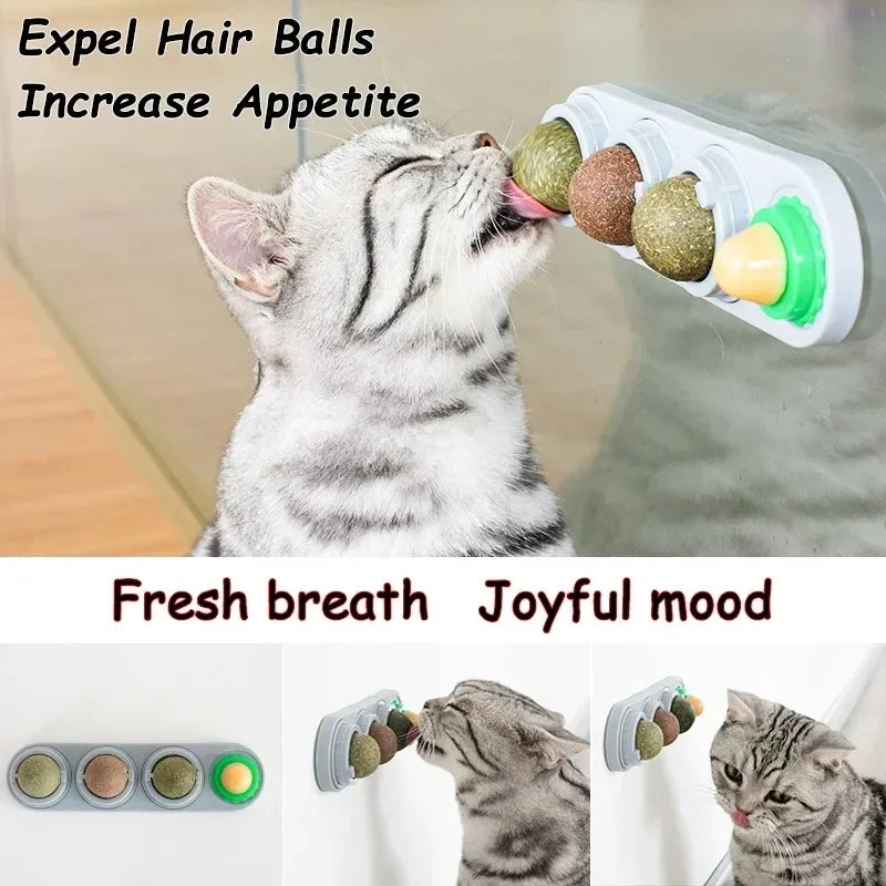 Rotating Catnip Silver Vine Ball Toy Wall Stick On