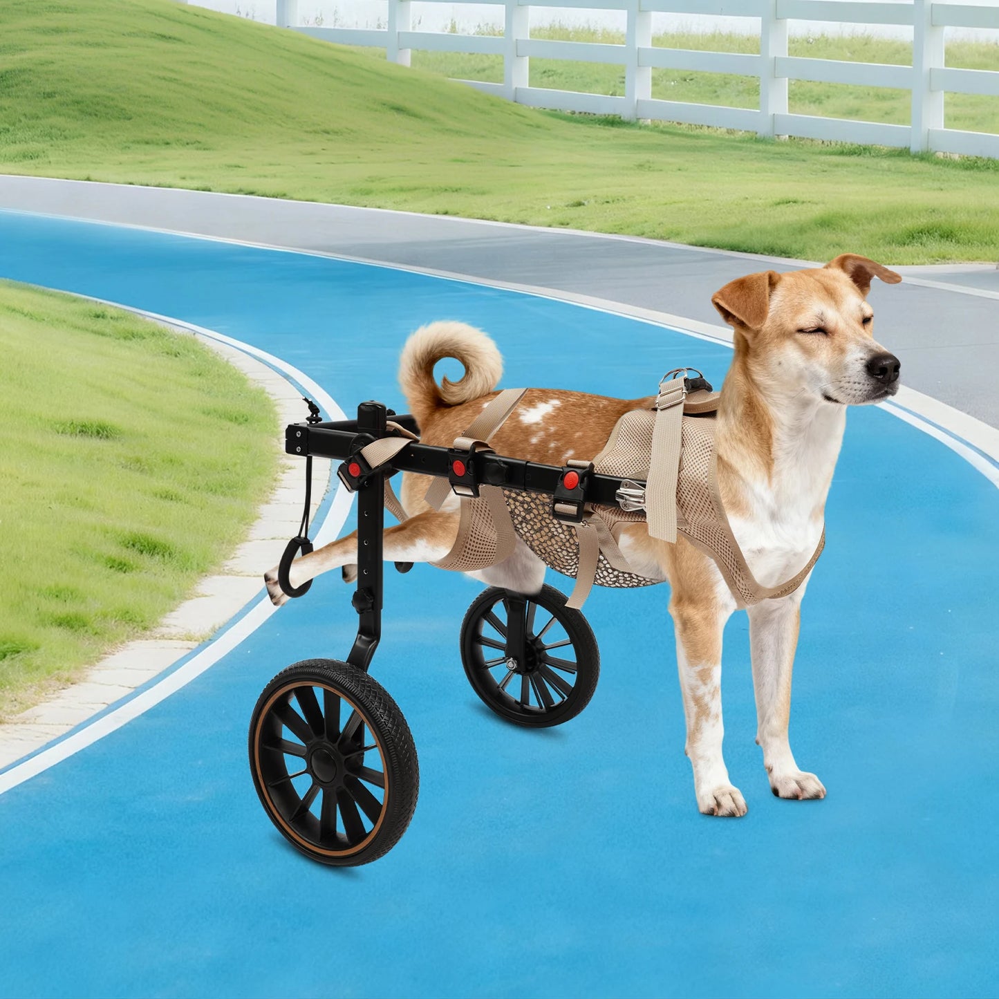 Bymaocar 2-Wheel Pet Walking Aid Wheelchair for Back Legs