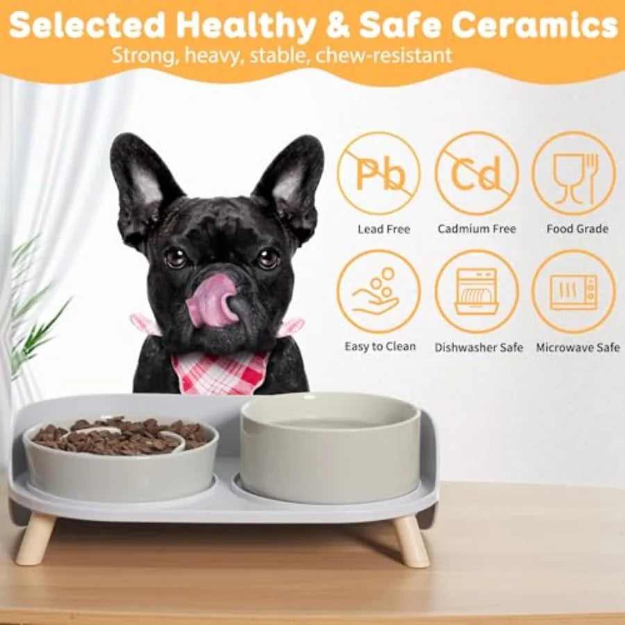 Elevated Slow Feeder Dog Bowls With Ceramic Stand Set
