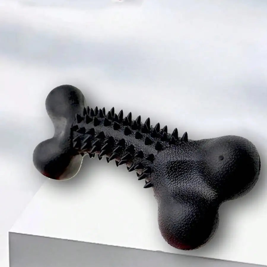 Dog Teeth-Cleaning Bone Toy For Chewing And Self-Entertainment