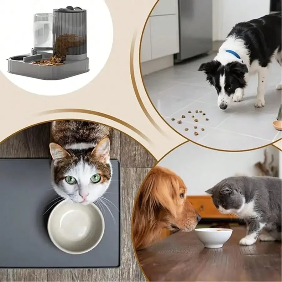 Durable 2-In-1 Automatic Dog Bowl And Cat Feeder For Pets