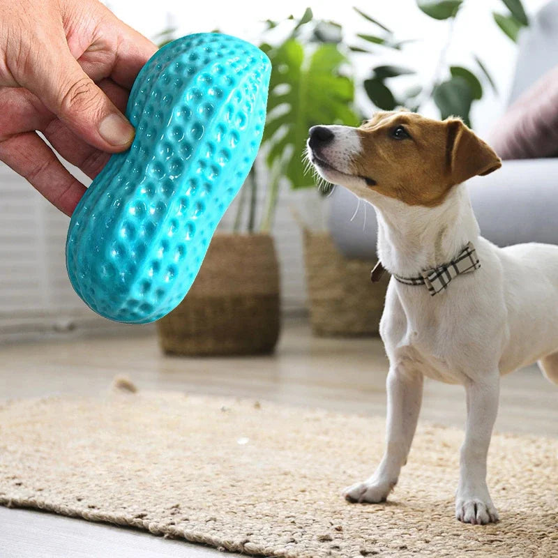 Pet Peanut Squeak Chew Toy For Dogs Interactive Rubber Toy