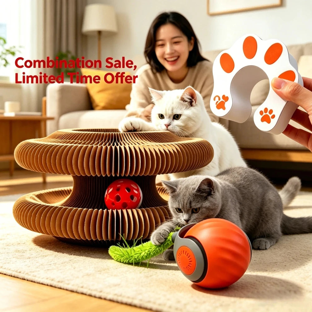 Cat Scratcher 2-In-1 Interactive Puzzle Toy Set For Indoor Cats