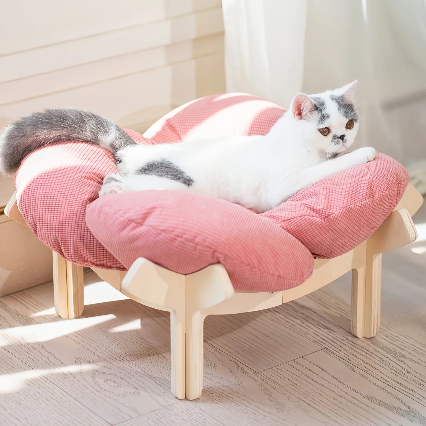 Raised Wooden Cat Bed With Soft Cushion Indoor Lounging Sofa
