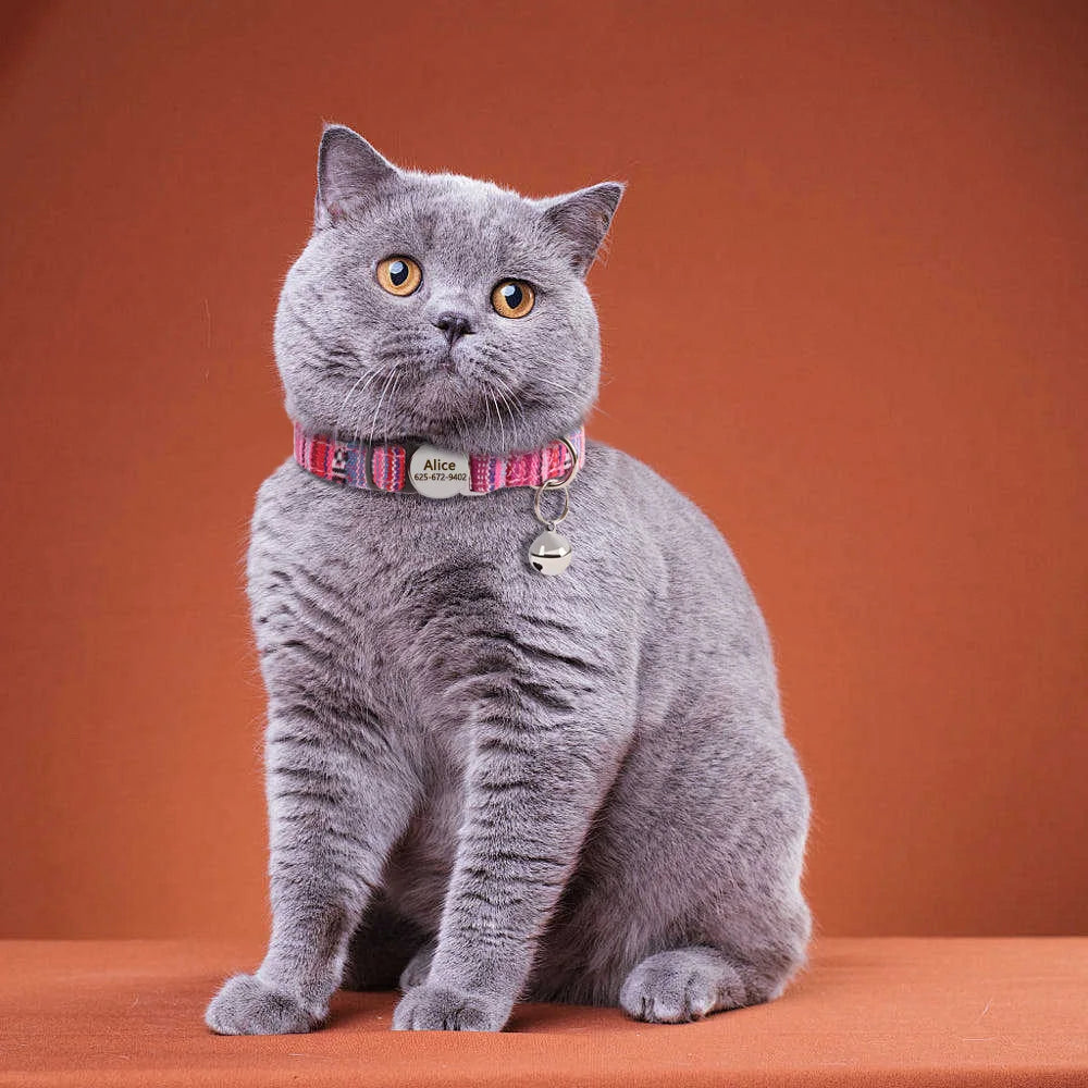 Quick Release Nylon Cat Collar With Personalization And Breakaway Safety