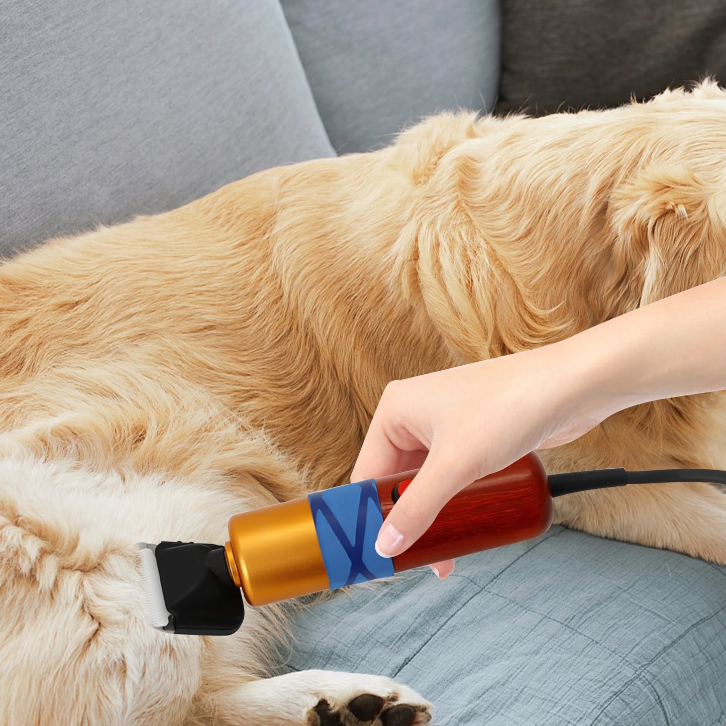 Low Noise Electric Pet Hair Clipper With Variable Speed