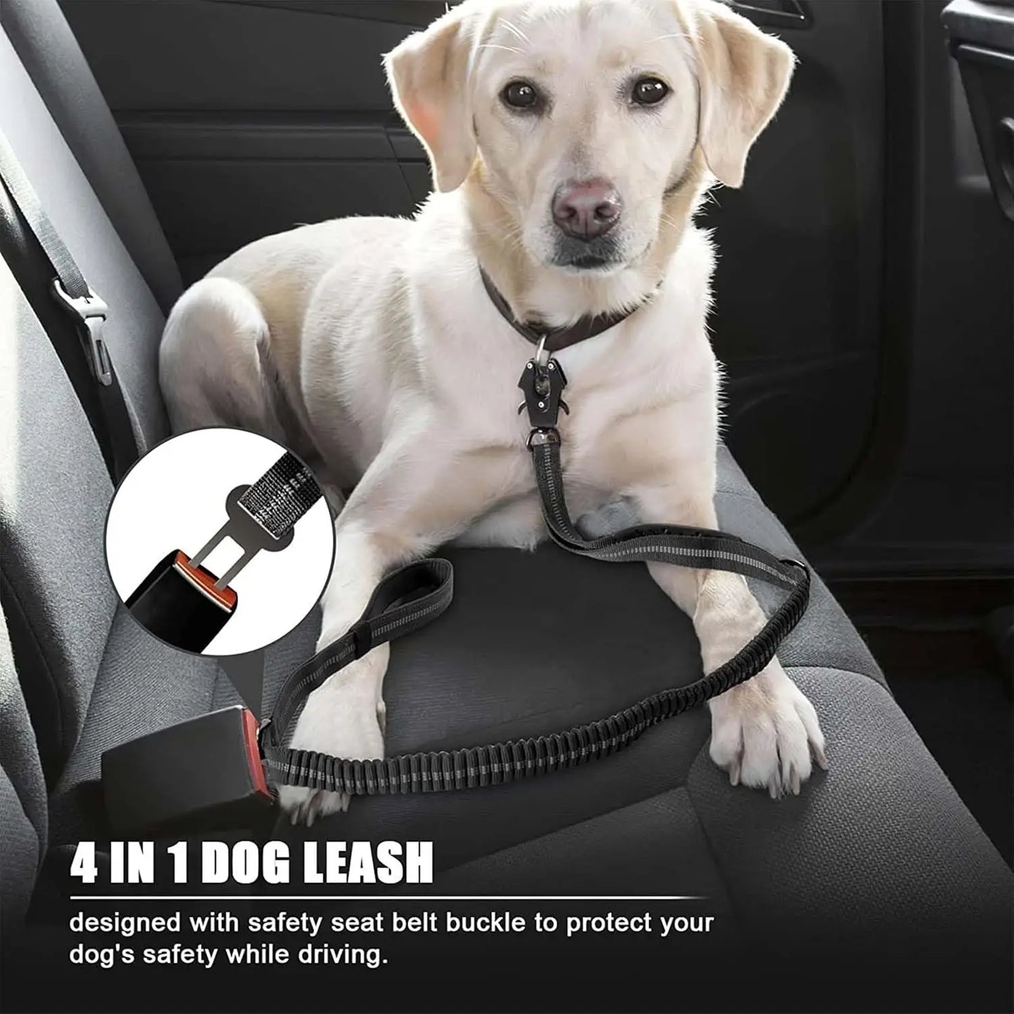 Reflective Shock Absorbing Tactical Bungee Dog Leash With Car Seatbelt