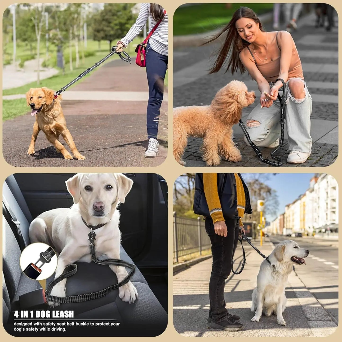 Reflective Shock Absorbing Tactical Bungee Dog Leash With Car Seatbelt