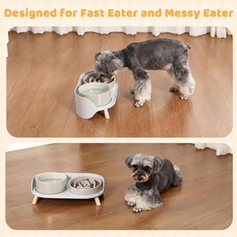 Elevated Slow Feeder Dog Bowls With Ceramic Stand Set